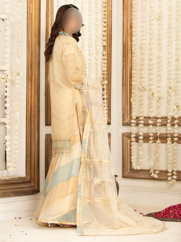 SKIN FEROZI GARARA - Indian Dress for Special Occasions - Image 2