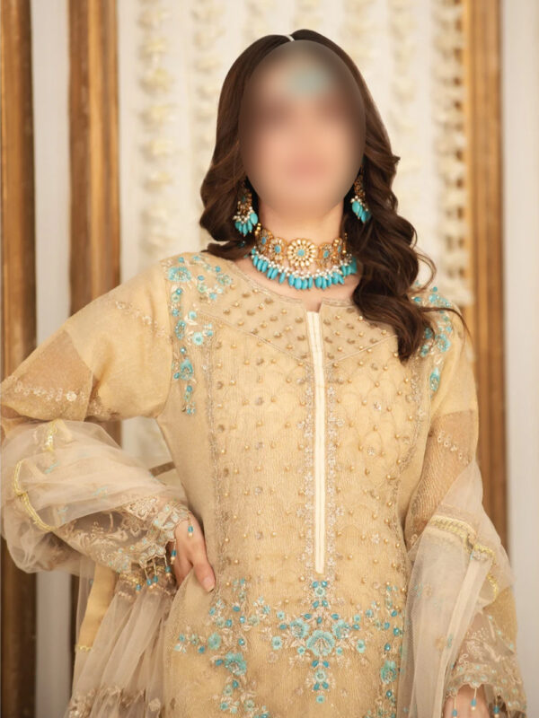 SKIN FEROZI GARARA - Indian Dress for Special Occasions - Image 3