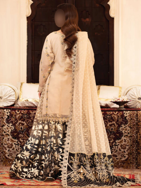 Zari Sharara Set Wedding Dress - Image 2