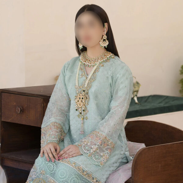 Ferrozi Schiffli Embroidered Dress - Pakistani Indian Shalwar Kameez - Image 5