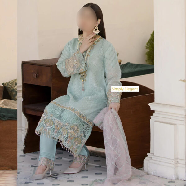 Ferrozi Schiffli Embroidered Dress - Pakistani Indian Shalwar Kameez - Image 2