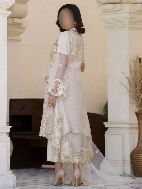 pakistani dress, indian wear