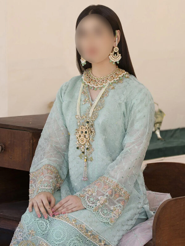 Ferrozi Schiffli Embroidered Dress - Pakistani Indian Shalwar Kameez - Image 4