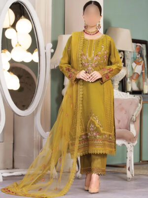 Mehndi Dress in Australia
