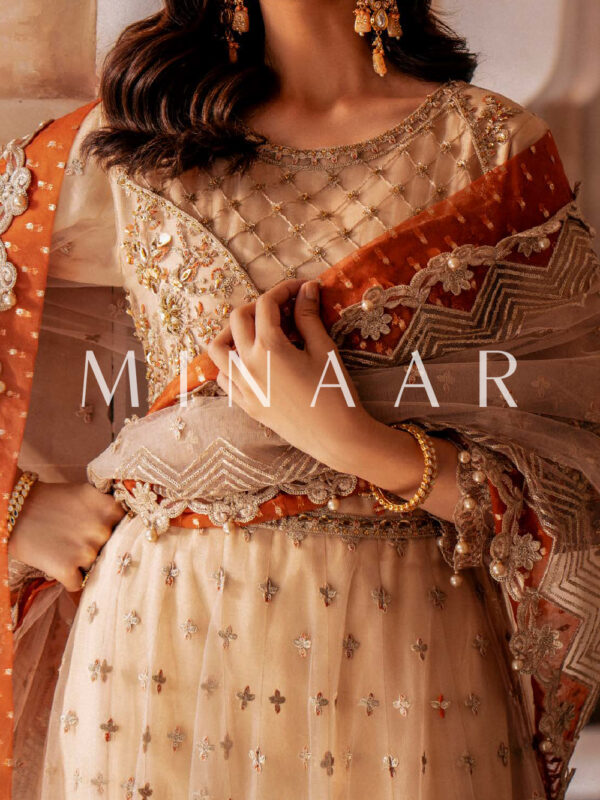 Elegant Pakistani & Indian Maxi Dresses - Perfect for Weddings in Sydney & Beyond - Image 3