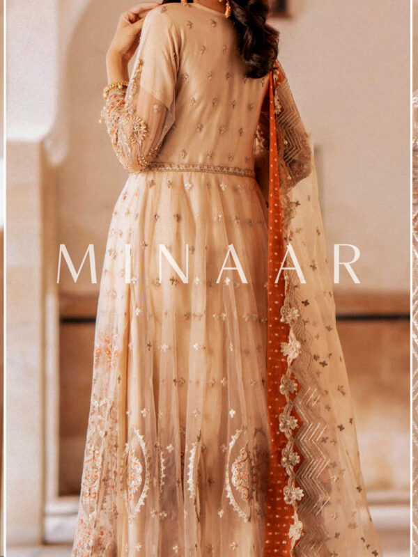 Elegant Pakistani & Indian Maxi Dresses - Perfect for Weddings in Sydney & Beyond - Image 4
