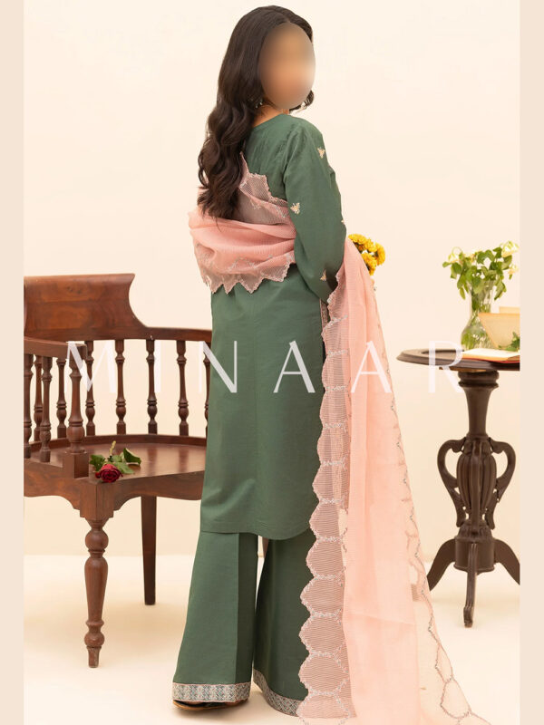 Embroidered Latest Shalwar Kameez - Indian Pakistani Dress - Image 5