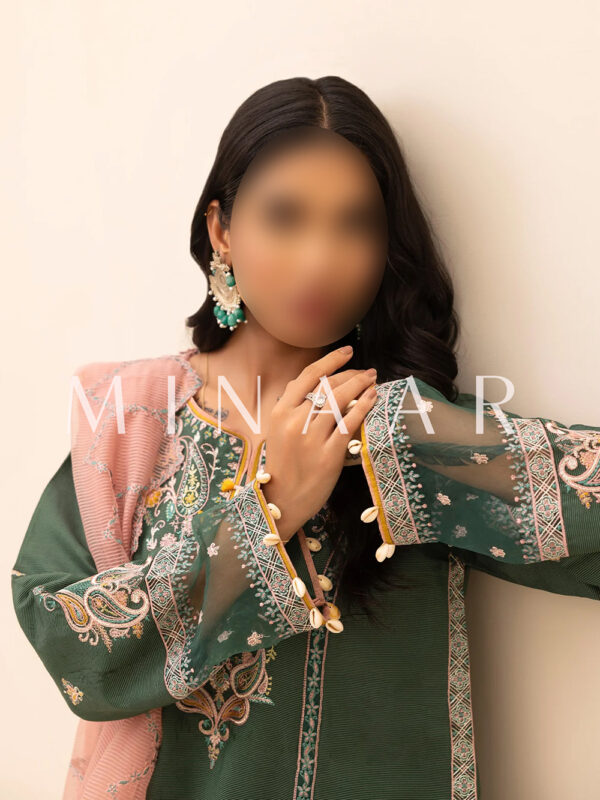 Embroidered Latest Shalwar Kameez - Indian Pakistani Dress - Image 4