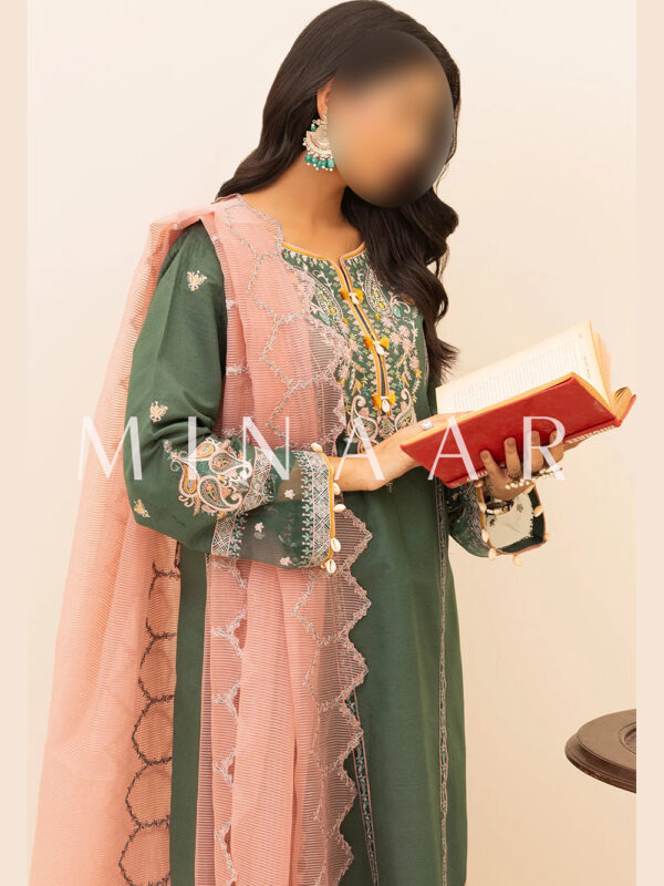 Embroidered Latest Shalwar Kameez - Indian Pakistani Dress - Image 3