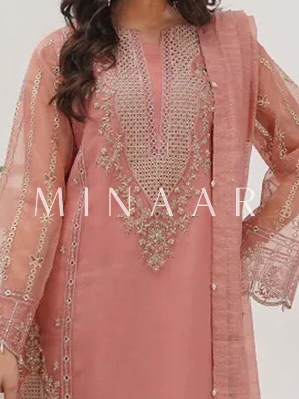 Pink Embroidered Indian Clothes Salwar Kameez with Banarsi Dupatta - Image 3
