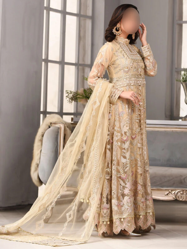 Net Maxi Ensemble with Raw Silk Trousers and Net Dupatta - Image 2