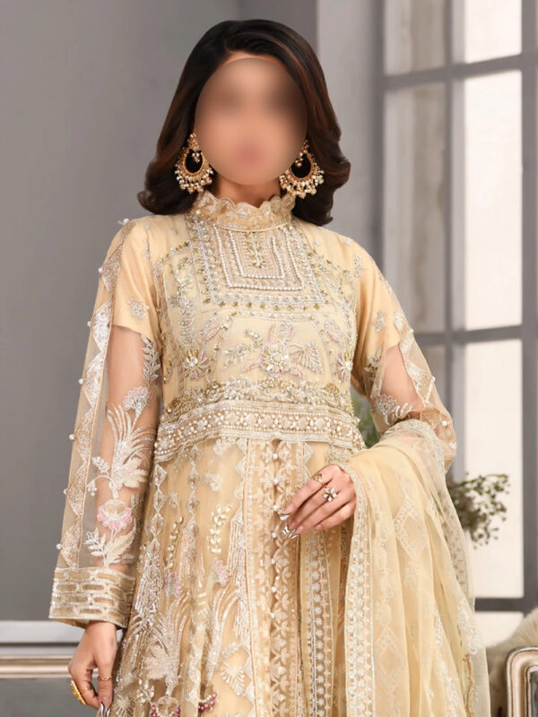 Net Maxi Ensemble with Raw Silk Trousers and Net Dupatta - Image 4