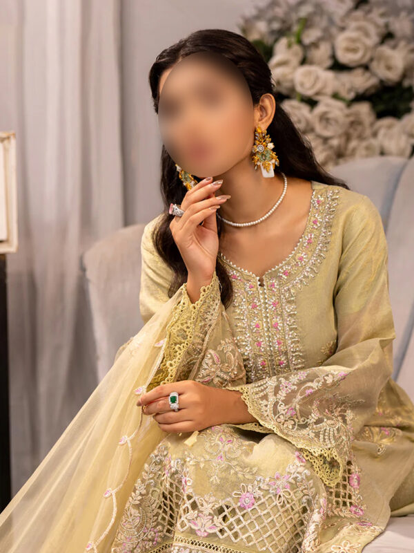 pakistani indian dresses
