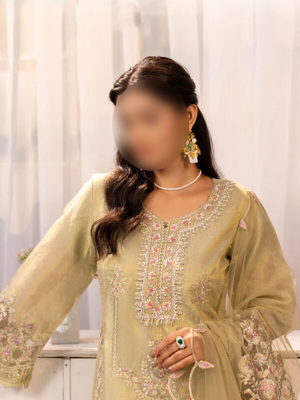 Elegant Embroidered Karandi Salwar Kameez with Organza Dupatta - Image 5