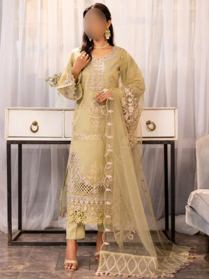 pakitsani indian dresses