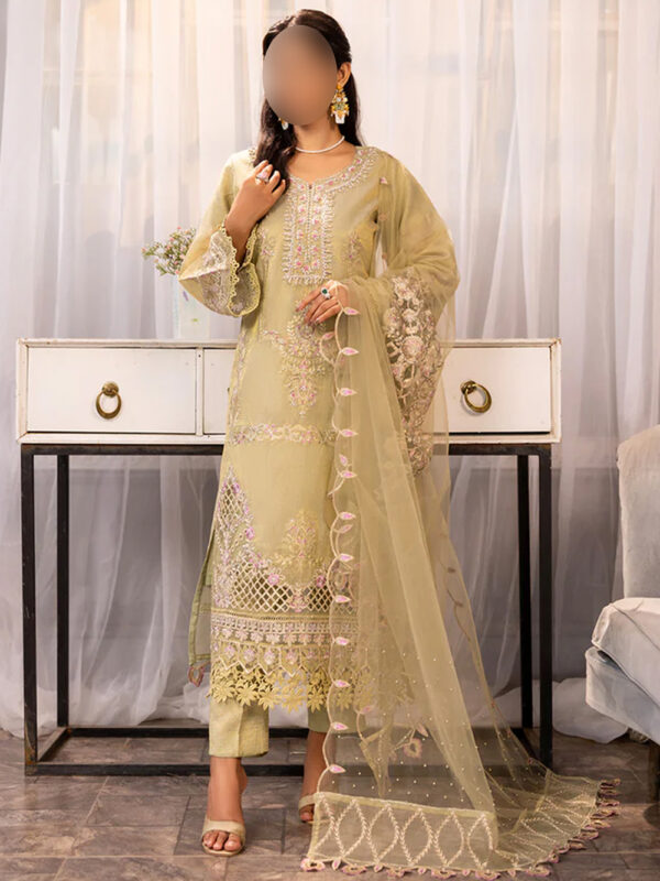 pakitsani indian dresses