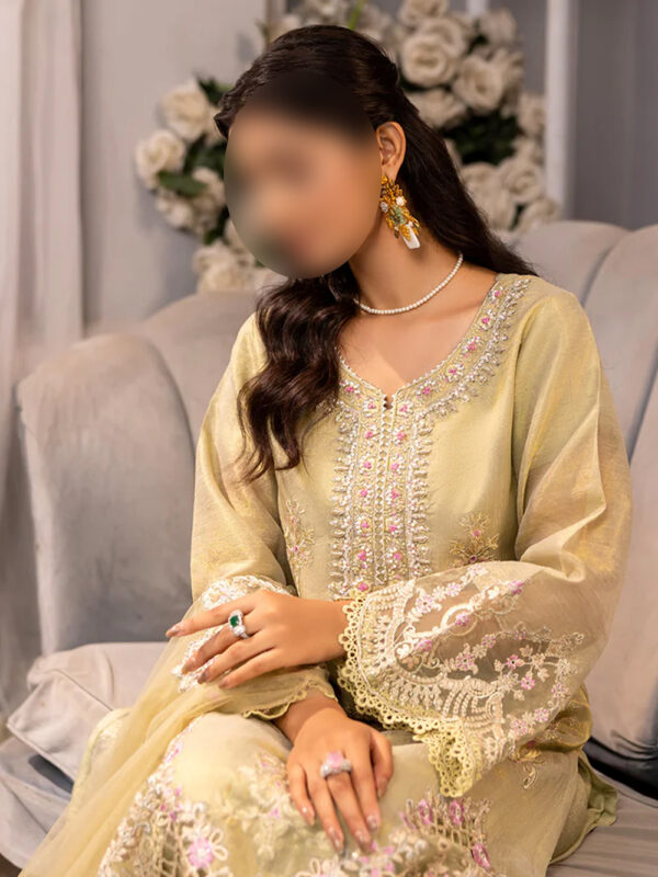 Elegant Embroidered Karandi Salwar Kameez with Organza Dupatta - Image 4