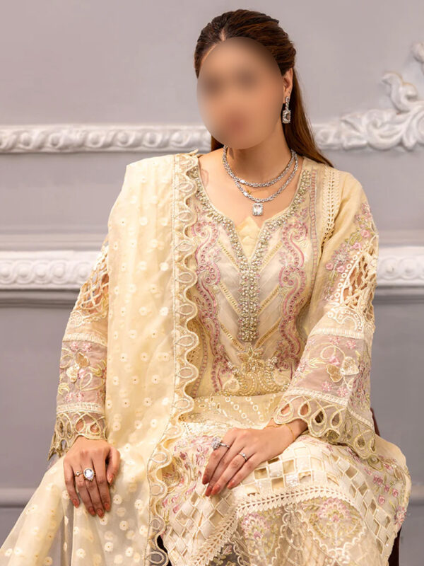Luxe Indian Karandi Handworked 3-Piece Suit - Image 4