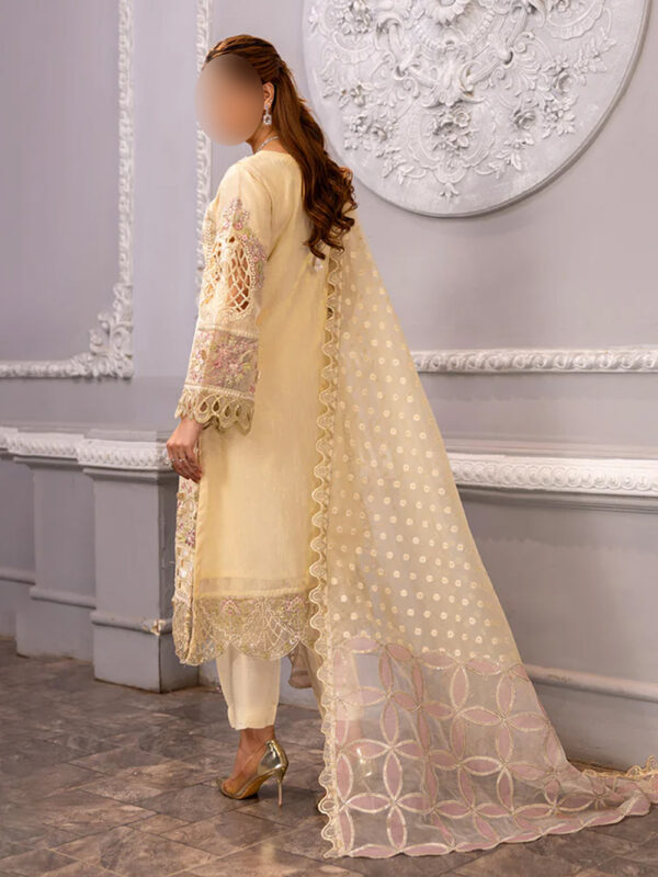 Luxe Indian Karandi Handworked 3-Piece Suit - Image 5