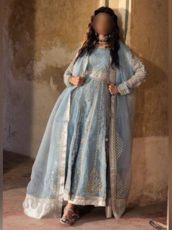 Ice Blue Embroidered Maxi Dress with Dupatta - Image 2