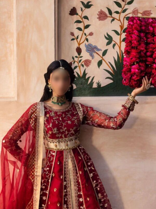 Maroon Royal Embroidered Maxi Lehenga Dress - Image 3