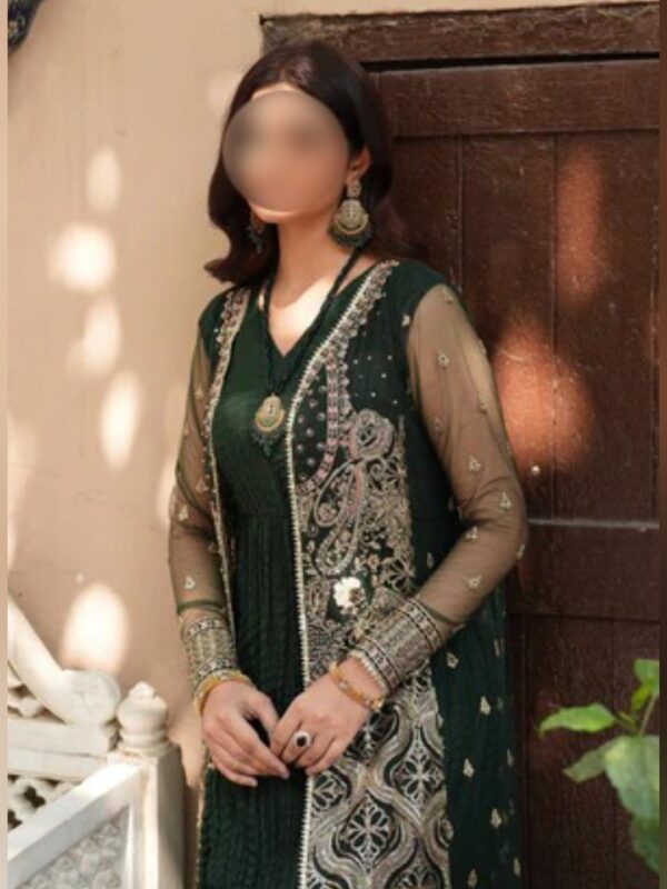 Royal Emerald Embroidered Gown Set - Image 8