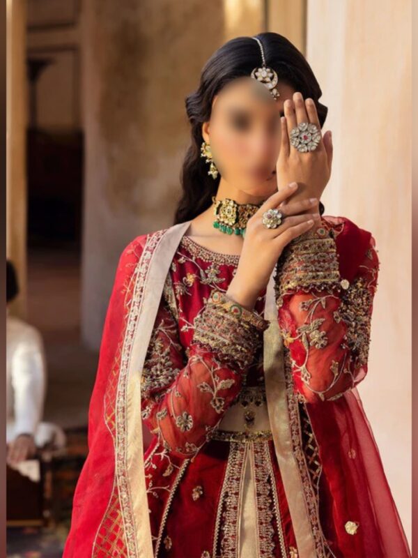 Maroon Royal Embroidered Maxi Lehenga Dress - Image 7