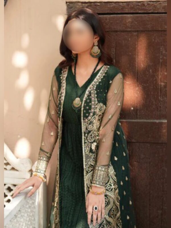 Royal Emerald Embroidered Gown Set - Image 7