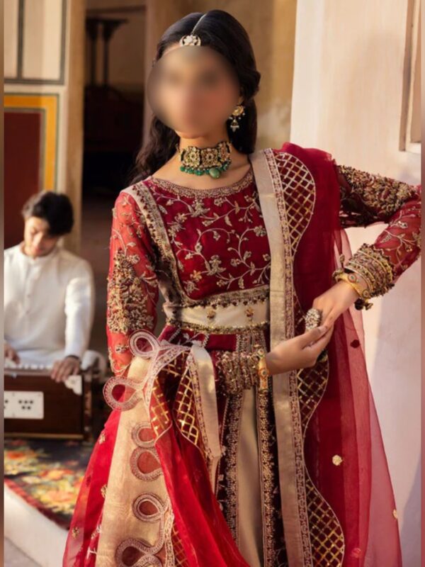 Maroon Royal Embroidered Maxi Lehenga Dress - Image 6