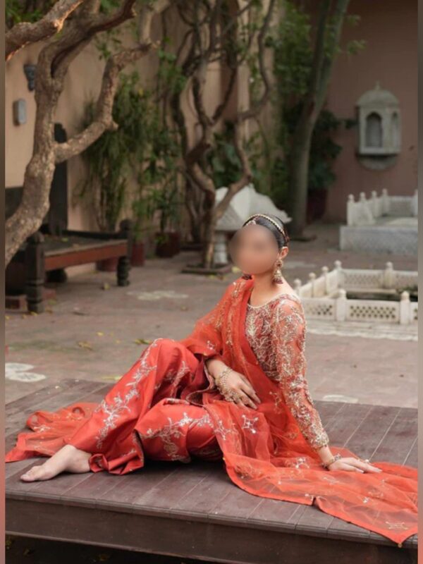 Embroidered Peplum Sharara Dress – Festive Pakistani Attire - Image 4