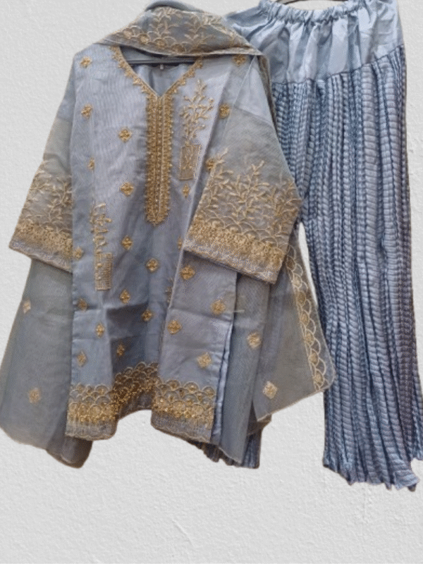 Embroidered Shirt Crush Gharara With Organza Dupatta - Image 7
