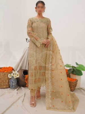 salwar kameez