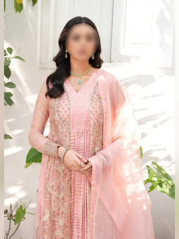 Royal Pink Embroidered Gown Set - Image 5