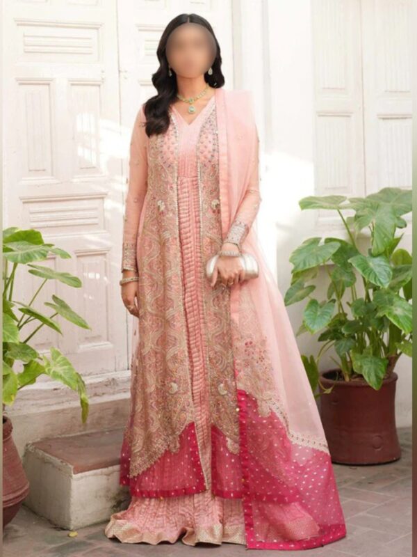 Royal Pink Embroidered Gown Set - Image 6