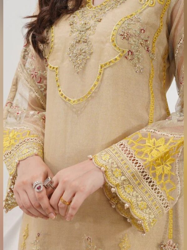 Golden Glow Festive Salwar Kameez With Dupatha Set - Image 4