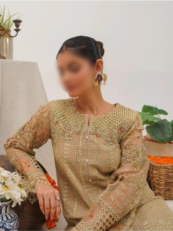 indian cothing