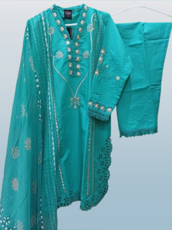 plus size salwar kameez