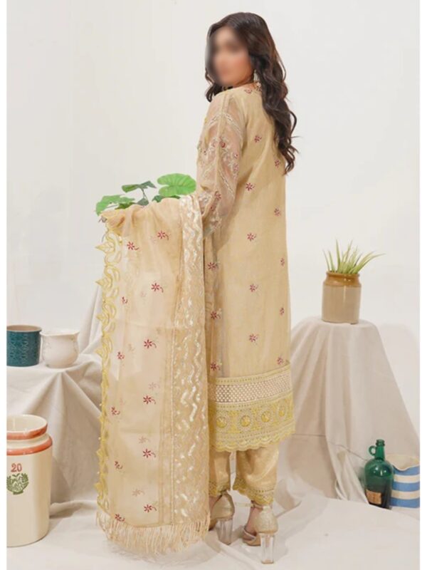 Golden Glow Festive Salwar Kameez With Dupatha Set - Image 3