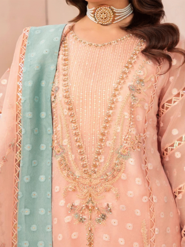 Pakistani suits