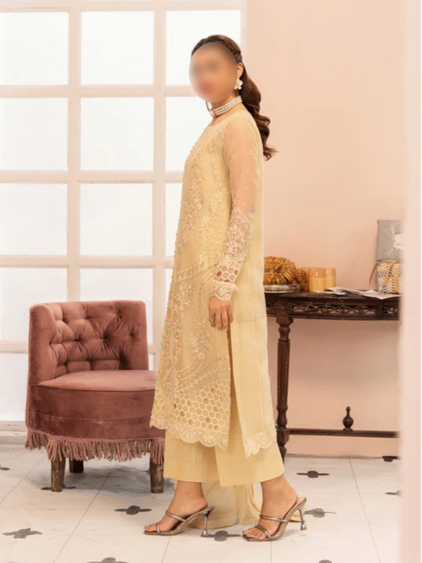 embroidered party wear