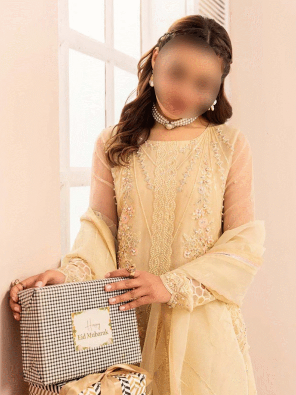 Lime Embroidered Kurta Set – Elegant Eastern Wear for Daily Use - Image 5