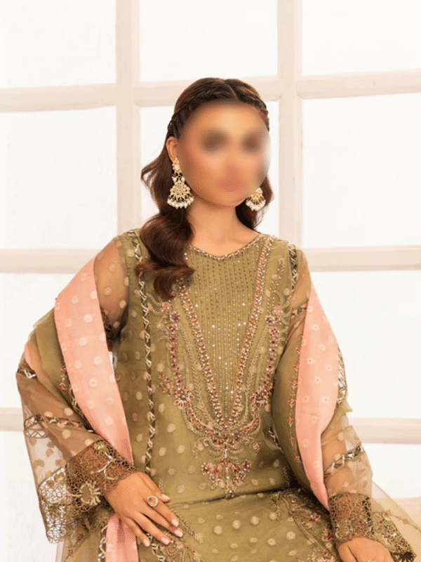 Embroidered 3-piece Trendy Salwar Kameez - Image 3