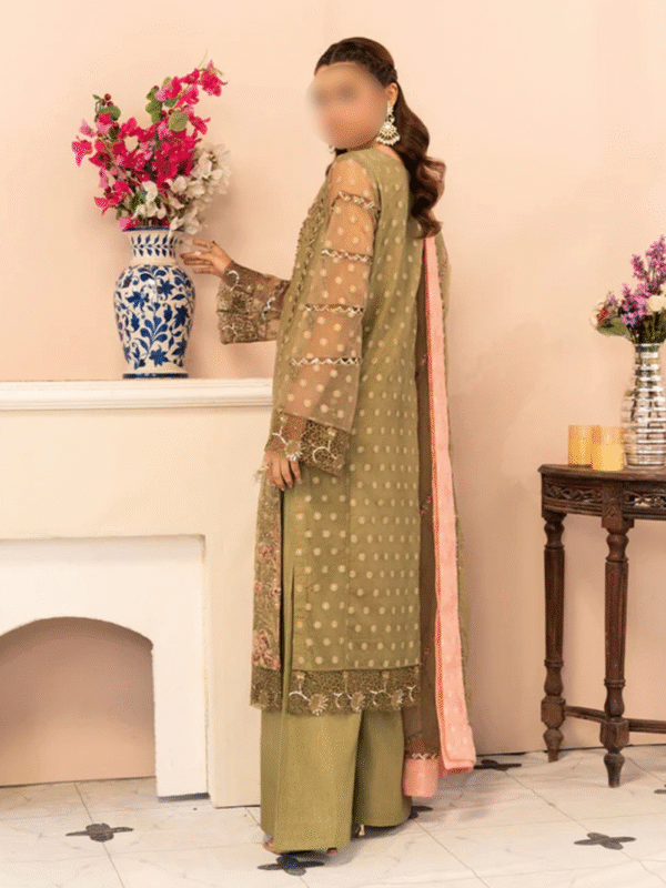 Embroidered 3-piece Trendy Salwar Kameez - Image 4