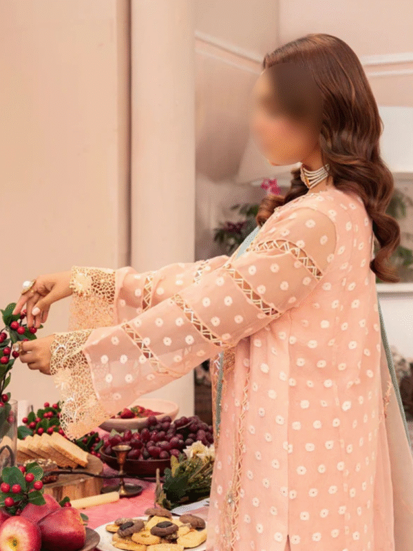 Eastern Peach Kurta Set - Pakistani Salwar Kameez - Image 4